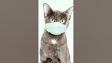 An toàn trong in 3D resin #in3dresin #3dprinting #in3d #technixam #3dtechnology #hobby