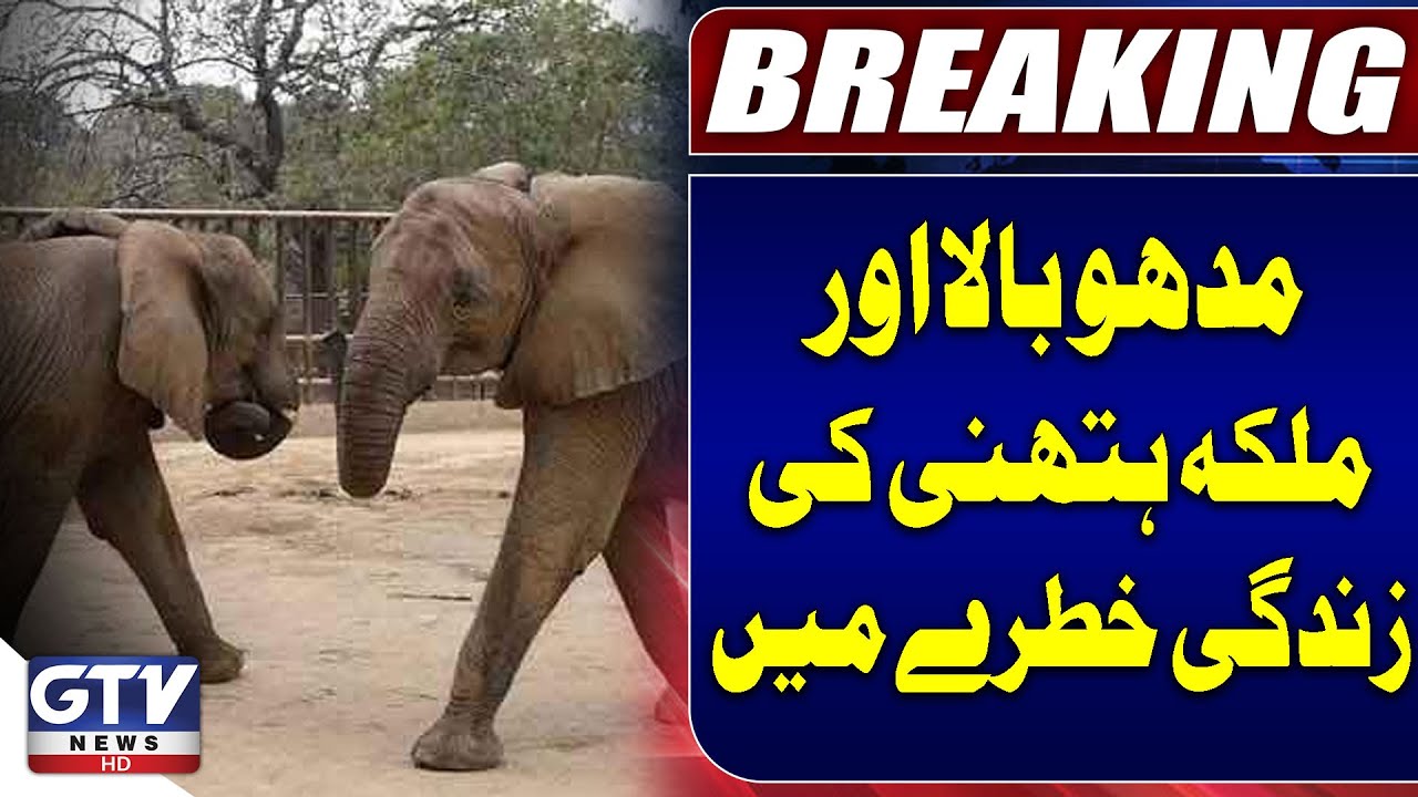 Madhubala and Malika Hathni Also Diagnosed with Life-Threatening Illness | Breaking News