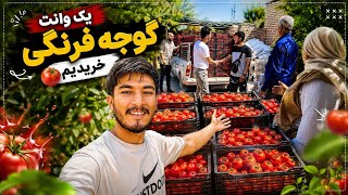۶۸۷ کیلو گوجه خریدیم! 😱🍅 شروع درست کردن رب خانگی + مهمان ویژه از شهرستان 🤩 | ولاگ خانوادگی💥