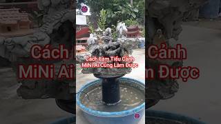 Cách Làm Tiểu Cảnh MiNi Ai Cũng Làm Được #phậttạitâm #phongthuy #bonsai #caycanh