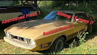 1973 Mustang Mach 1 revival, (will it run?)