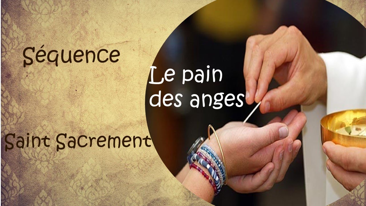 Séquence du Saint Sacrement - Le pain des anges