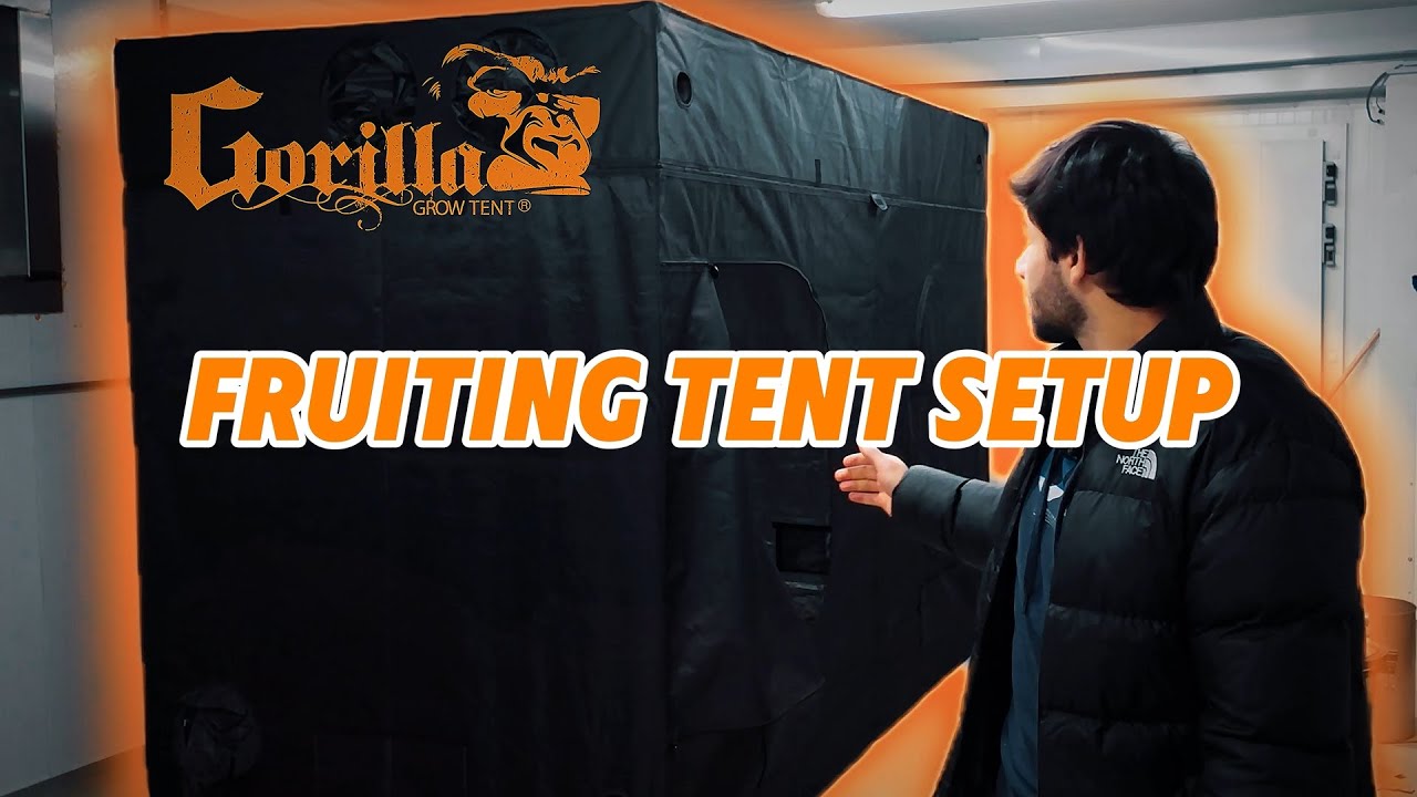 Starting Our Mushroom Business | How to Set Up A 5x9 Gorilla Grow Tent