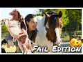 Ehemalige beelponys  fail edition