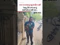 રસ્તા પર તરફડતું રહ્યું રાષ્ટ્રીય પક્ષી; રેસ્ક્યુ ટીમે CPR આપ્યું, ઘણી મહેનત કરી પણ...