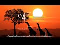Silent Night Christmas Collection (3 in 1) : Morning, Sunset, Modern Instrumental | DPMLeo