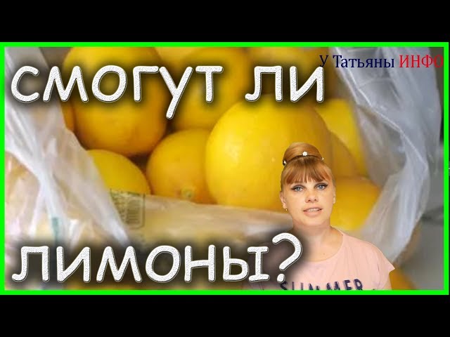 Мастер-класс!!! Храни ЛИМОНЫ правильно!!! Сколько могут хранится лимоны?