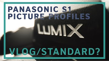 Is VLOG on the Panasonic S1 worth it?