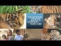 Understanding Tiger Behavior and Conservation