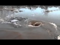 Water Sink Hole