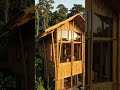🌿 BEAUTIFUL BAMBOO HOUSE 🏡✨ || #shortsfeed #trendingshorts #youtubeshorts #bamboohouse #viral