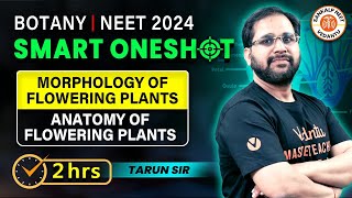 Morphology of Flowering Plants (Anatomy of Flowering Plants) | SMART ONE SHOT NEET 2024 | Tarun Sir