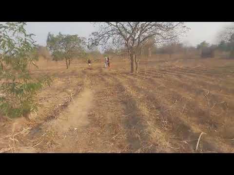 Nyumba Yomanga Kale Kungotsala Kukhoma Denga Ndikupanga Finishing Ku Mangochi Turn Off 6 5 Million