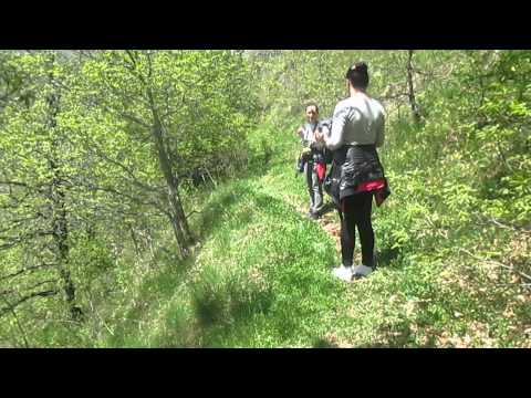 ჩემი მთები და ველები როშკა ... ბეჟან წინწალაშვილი