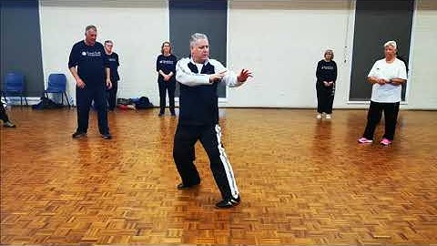 Mastering Tai Chi Fist Under Elbow with Lao Shi Damon Bramich.