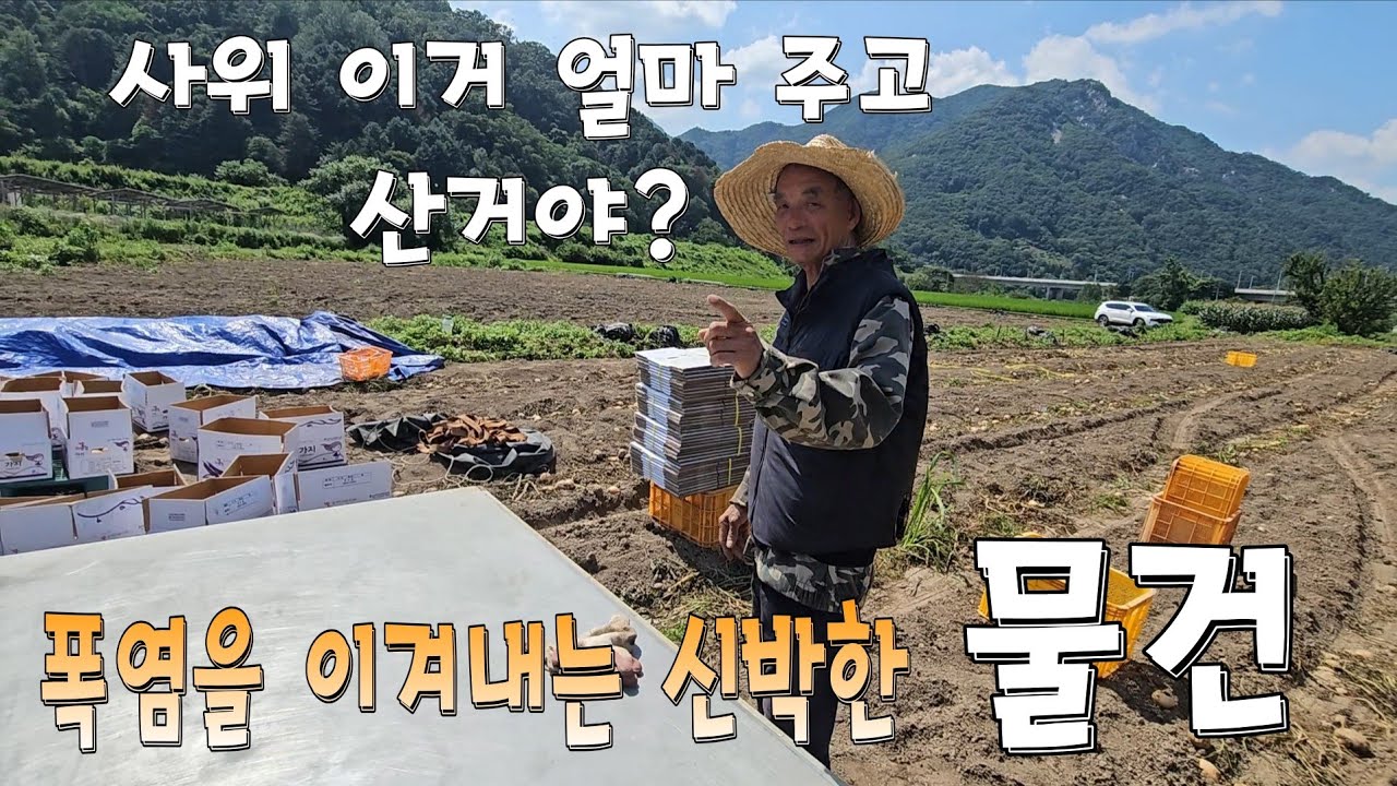 폭염경보를 이겨내는 신박한 물건을 써본 베트남 장인장모님