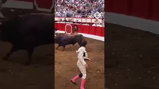 Rampaging bull attacks 'Messi of the matadors'