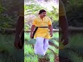 மாங்குயிலே பூங்குயிலே__கரகாட்டகாரன்__இளையராஜா