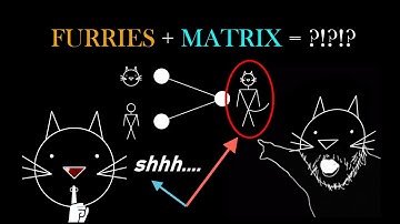 [NO MUSIC] Why do Neural Networks use Linear Algebra? || The Visual Intuition of Cat Mathematics