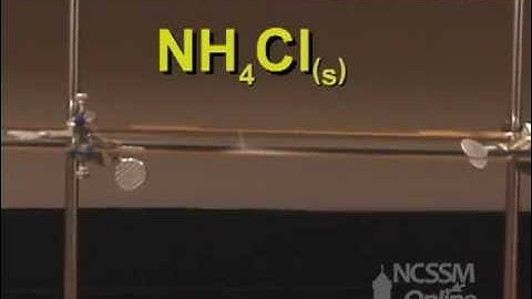 Diffusion of NH3 and HCl