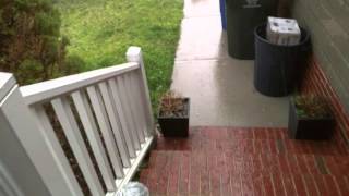 2/24/16 tornado watch/warning hail and rain north east raleigh, nc