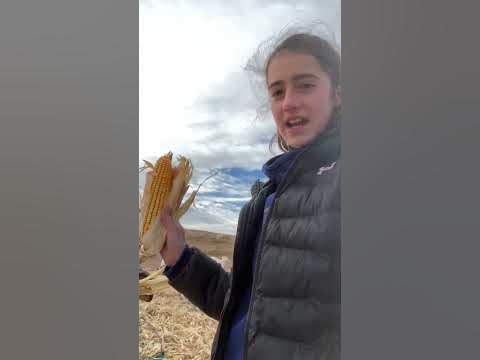 Feeding the goats and you’ll never guess what we found #cool finds #
