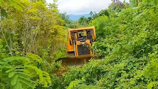 Skilled D6R XL Bulldozer Operator Repairing Forest Road to Plantation
