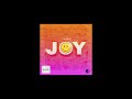 Joy (Audio) OMNIVI3E ft Azadeh OMNIVIBE