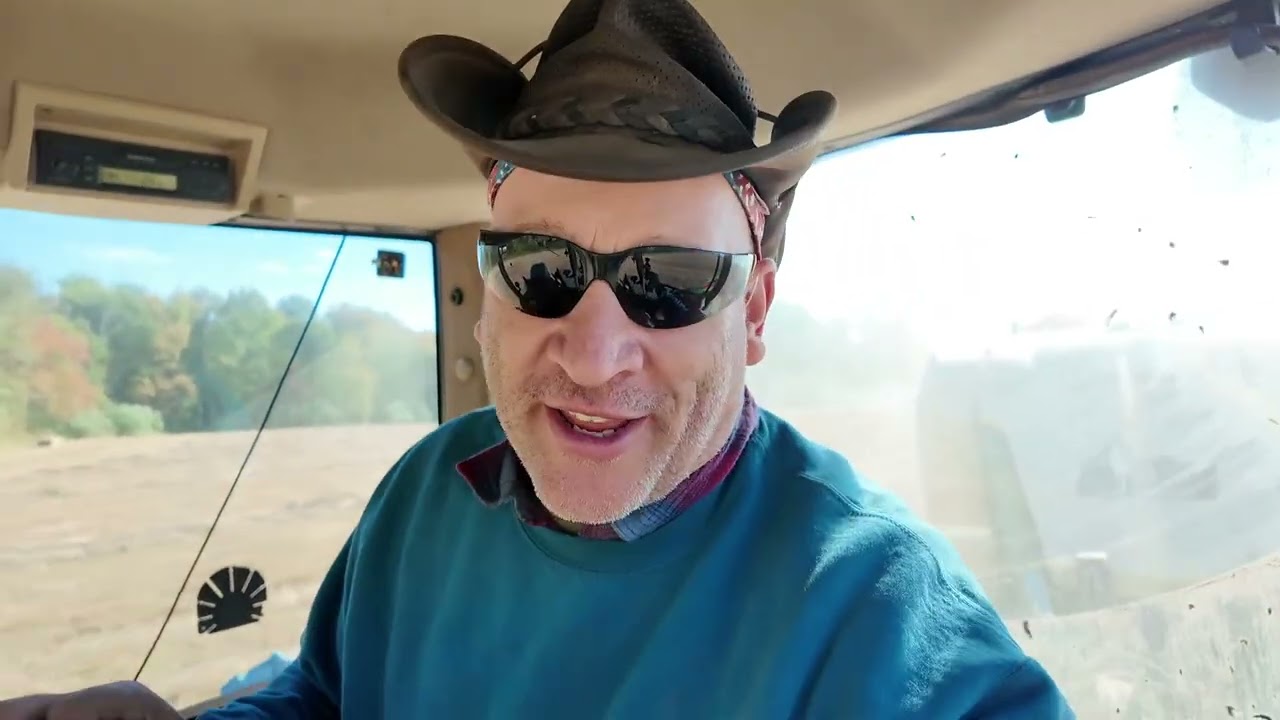 Мы все еще заготавливаем сено