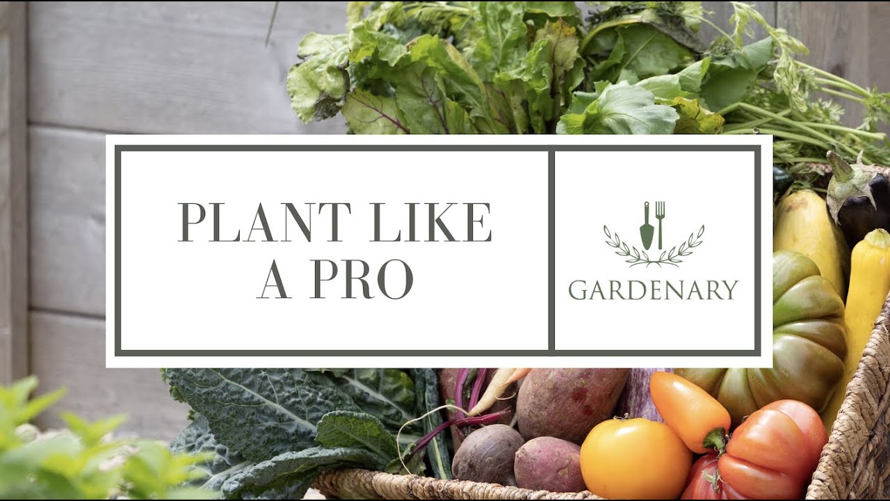 Plant Like A Pro