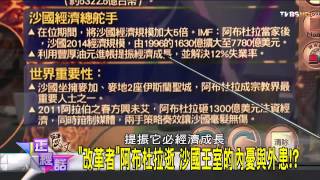 麗文正經話_20150127_395_1-1(TVBS DMDD)