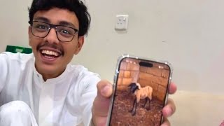 سنابات ضاري الشمري | ضحية اصيل فيها بلغم😭😭😭😂' 