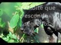 ANIMAL DE PODER PANTERA.wmv