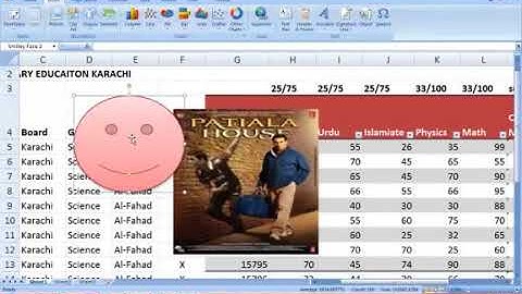 05  Ms Excel 2007 Tutorials in Urdu Hindi Part 5 of 27 Insert Menu