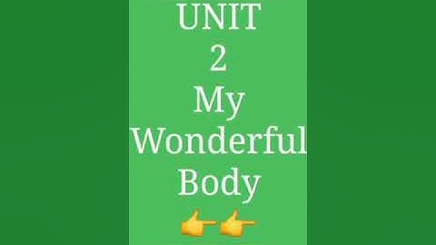 1std EVS TERM1 2.MY WONDERFUL BODY