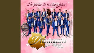 No Paras de Hacerme Feliz (Radio Edit)