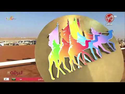 ش7 برمودا ل عبدالله سالم بن عبدالله سعد شميل جائزة الملك عبدالعزيز 14 12 2024 حقايق بكار 6 05 17