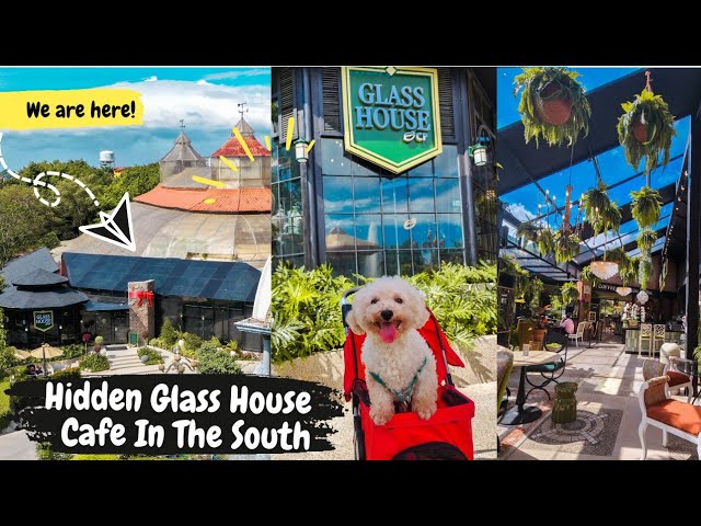 Hidden Glass House Cafe In The South! | Alabang Palazzo Verde - Youtube