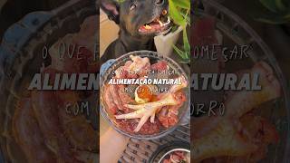 Como começar a alimentação natural para cachorro #pets #receitaparacachorro #cachorro