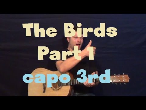 The Birds-Part 1 (The Weeknd) Easy Guitar Lesson Strum chords How to Play Tutorial