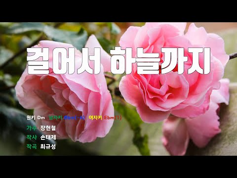 [은성반주기] 걸어서하늘까지 - 장현철 /MR/가사