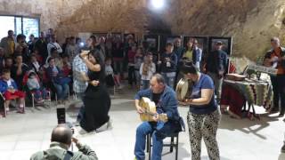 Video thumbnail of "tarantella di Sannicandro Garganico"