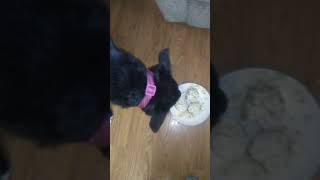 Oreos brithday n her cake 1 year old