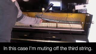 Free Lesson How To Easily Tune Clean Unisons Using The New Piano Tuners Ear