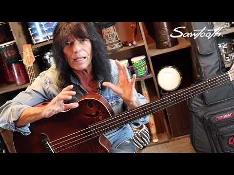 sawtooth-rudy-sarzo-signature-fretless-acoustic-electric-bass-guitar-demo