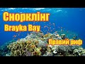 Снорклінг - Brayka Bay - Правий риф | Феєрія Мандрів