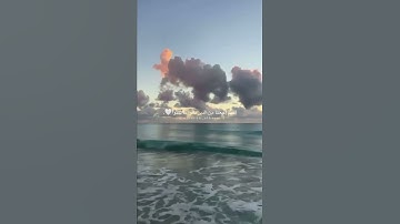 القران الكريم 513