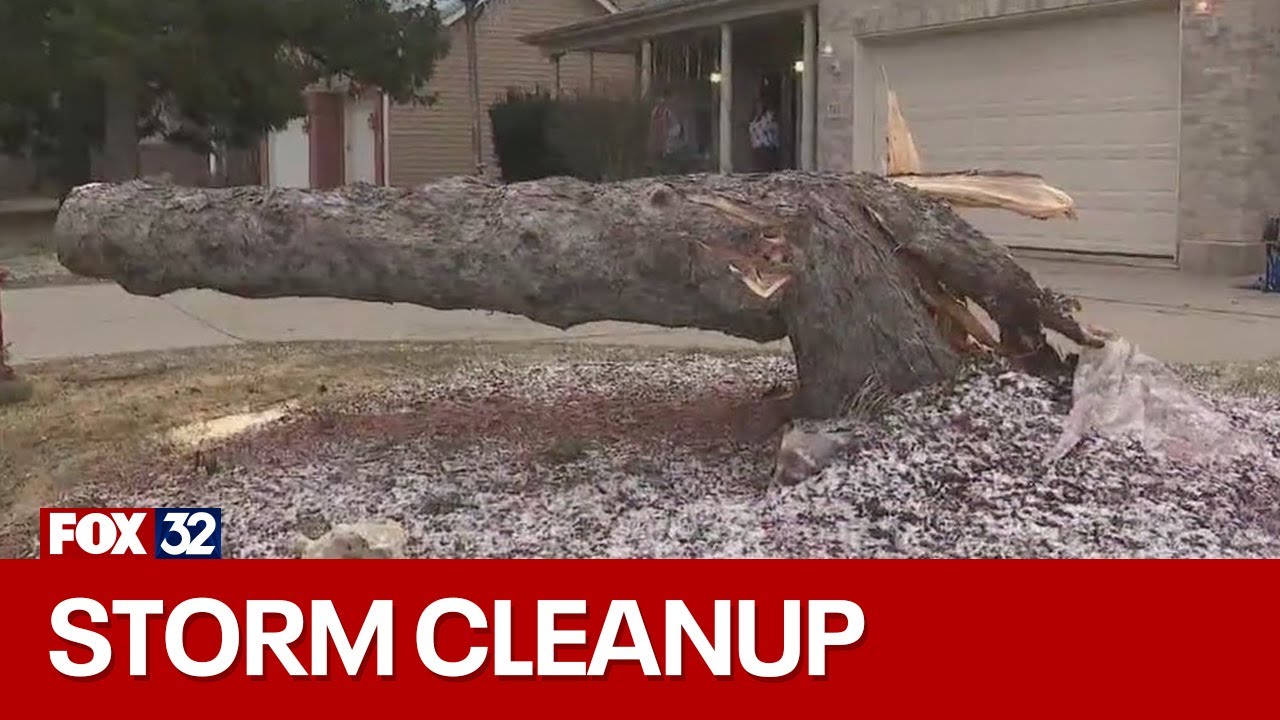 Cleanup begins in Cook County day after violent storms tore through ...