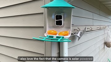 Birdsnap bird camera