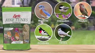 Lyric Fine Tunes No Waste Mix